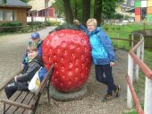 Farma iluzji - 38